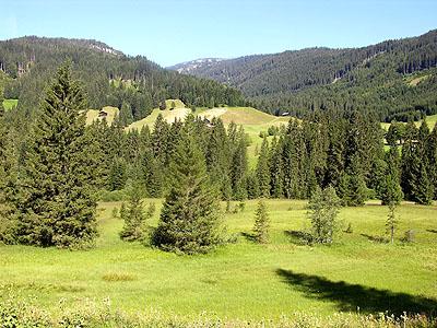 Hochmoor „Höfle“ in Riezlern: Durch behutsame Streuwiesennutzung blieb ein äußerst sensibles Ökosystem in seiner Eigenart erhalten. Dieses Hochmoor ist durch besonderen botanische Raritäten ausgezeichnet.
