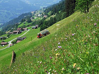 Magerwiese „Oberglän“ in Bartholomäberg: Die sehr steile Magerwiese besticht durch ihren Blütenreichtum, ist wichtiger Lebensraum für die Tierwelt und eine Bereicherung des Landschaftsbildes.